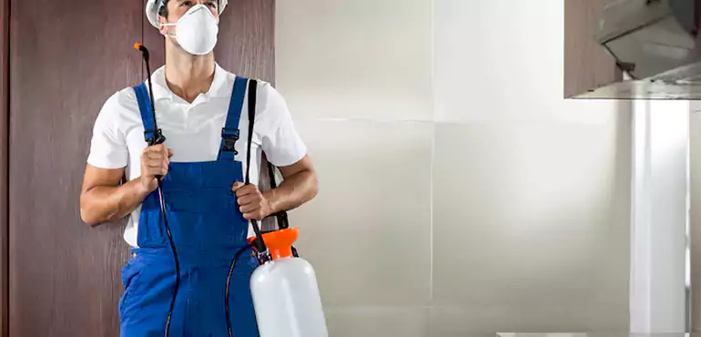 Why Torrance Homeowners Choose Us When Pests Make Selling Difficult